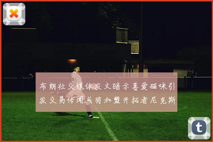 布朗社交媒体发文暗示喜爱猫咪引发交易传闻或将加盟开拓者尼克斯雷霆湖人