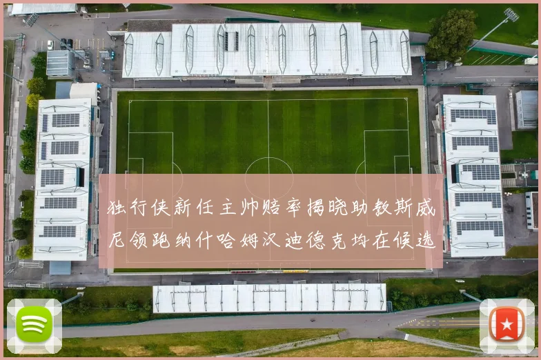 独行侠新任主帅赔率揭晓助教斯威尼领跑纳什哈姆汉迪德克均在候选之中